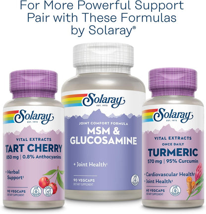 Solaray Celery Seed, 505 mg, 100 Vegetarian Capsules