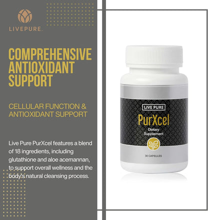 PURE PurXcel Antioxidant Supplement, 30 Capsules