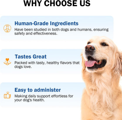 Zinc for Dogs, Heart Support Supplement for – Vitamin A: Contributes to normal vision, bone health, and a – Image 4
