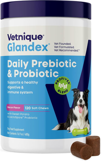Vetnique Glandex Dog Probiotic Chews, Daily Probiotics for Dogs 5 Strains, Prebiotics & Digestive Enzymes for Gut and Immune Health, Vet Formulated for Occasional Diarrhoea (120ct Chews)