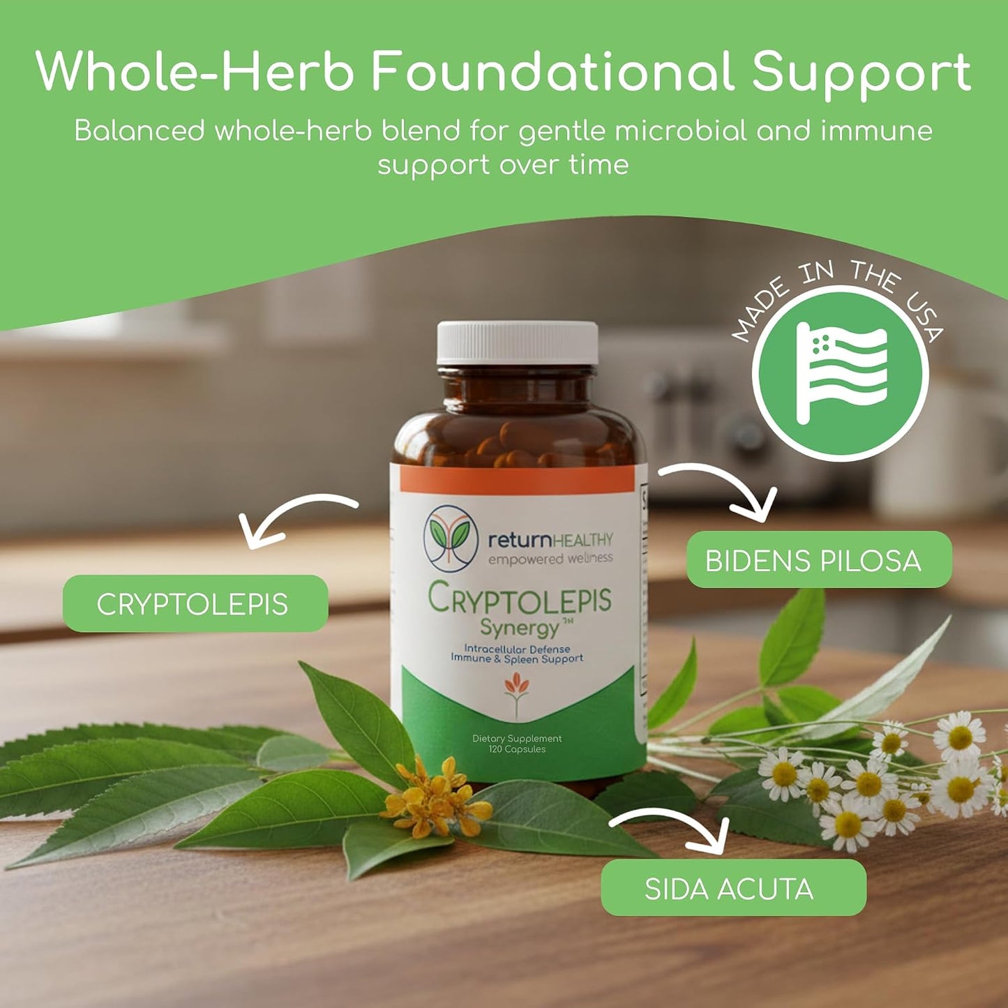 Cryptolepis Synergy – Immune Support Food Supplement, 120 Capsules - görsel 2