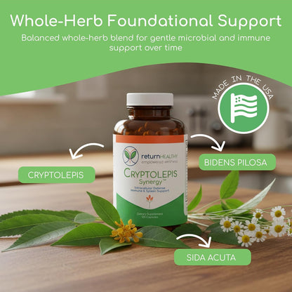Cryptolepis Synergy – Immune Support Food Supplement, 120 Capsules