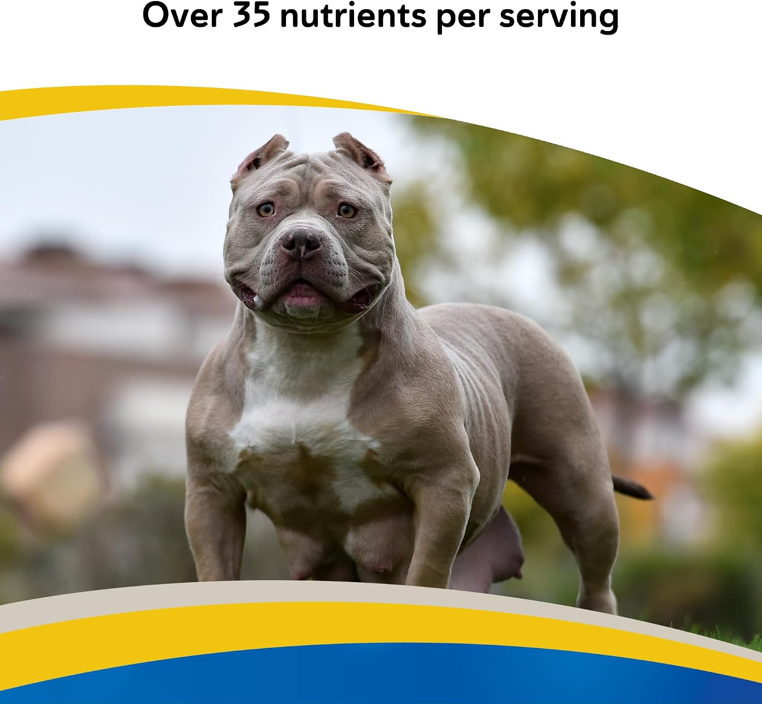 Doc Roy's Daily Care Extra Canine Multivitamin Supplement for Dogs (180 Tablets) - görsel 5