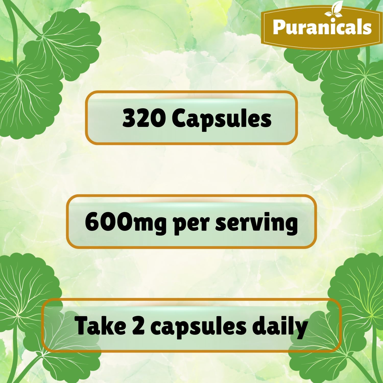 Gotu Kola Premium 320 Capsules – Non-GMO and Gluten-free | Herbal Supplement | 600 mg Per Serving | Made with 100% Pure Gotu Kola Powder - görsel 7
