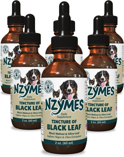 BlackLeaf Tincture for Pets - 6 Pack