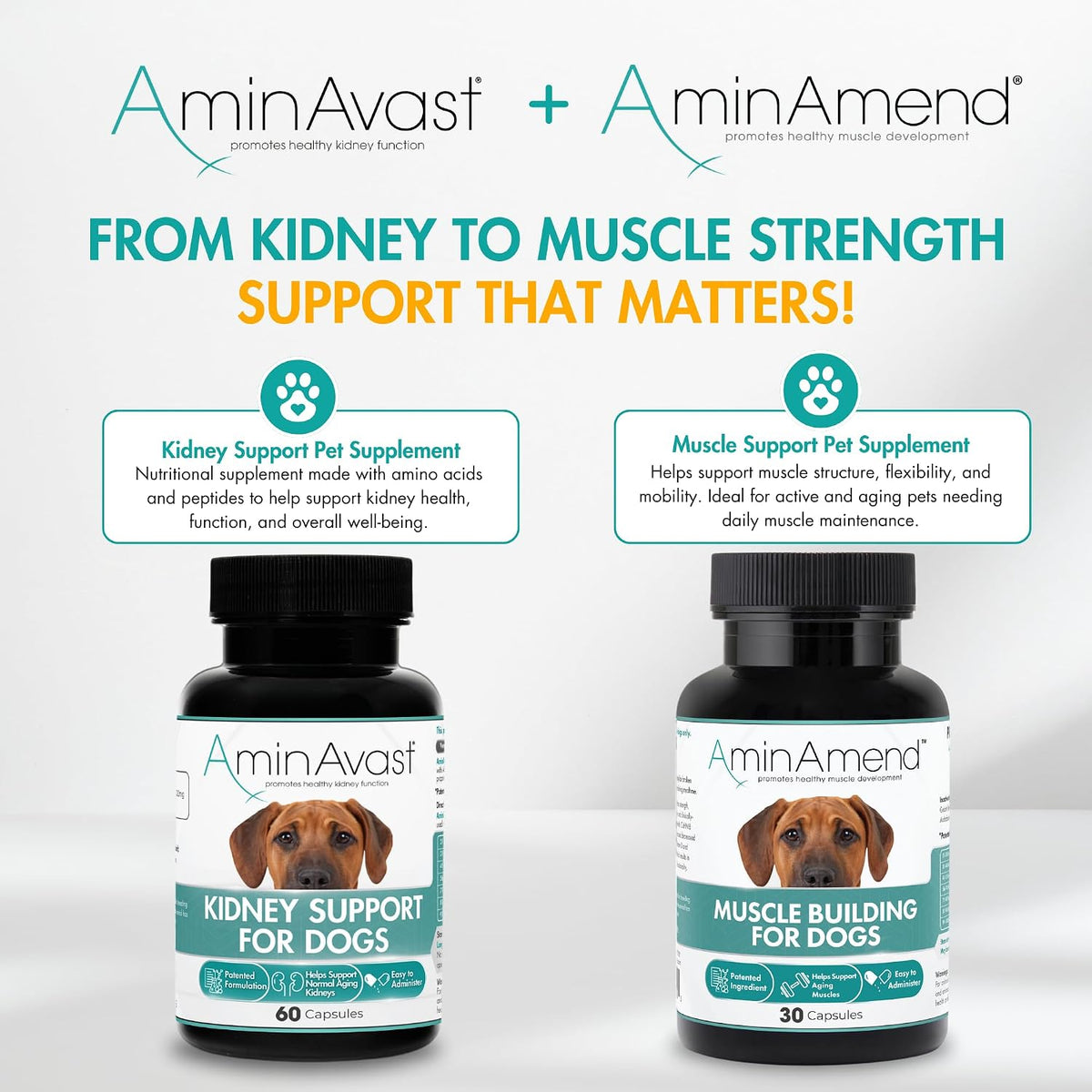 AminAmend Dog Muscle Supplement for Large Breeds – CaHMB & Vitamin D3 (30 Capsules) – Image 8