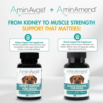 AminAmend Dog Muscle Supplement for Large Breeds – CaHMB & Vitamin D3 (30 Capsules) – Image 8