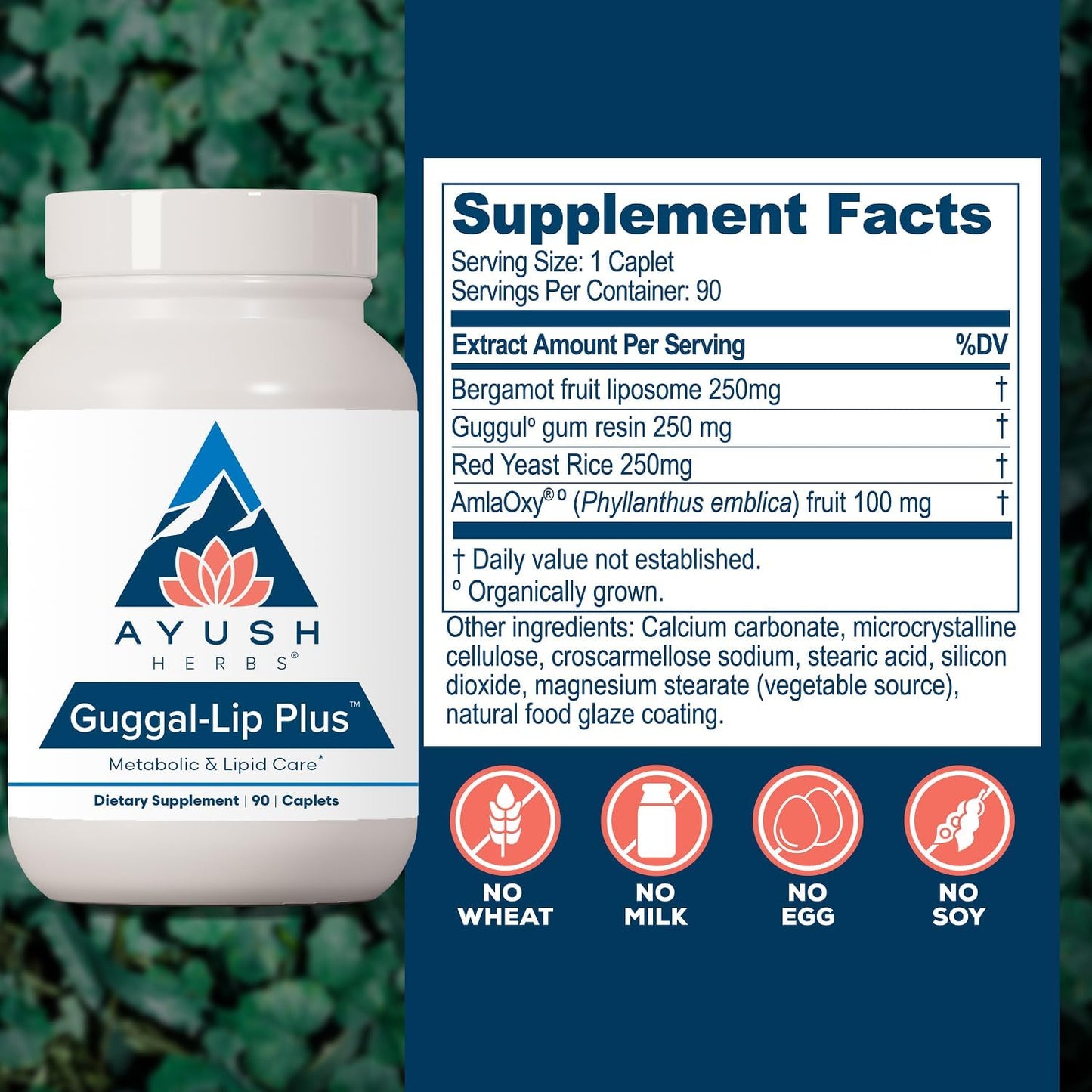 Ayush Herbs Guggal-Lip Plus - Metabolic Support Food Supplement with Guggul, Amla, and Bergamot - 90 Tablets - görsel 3
