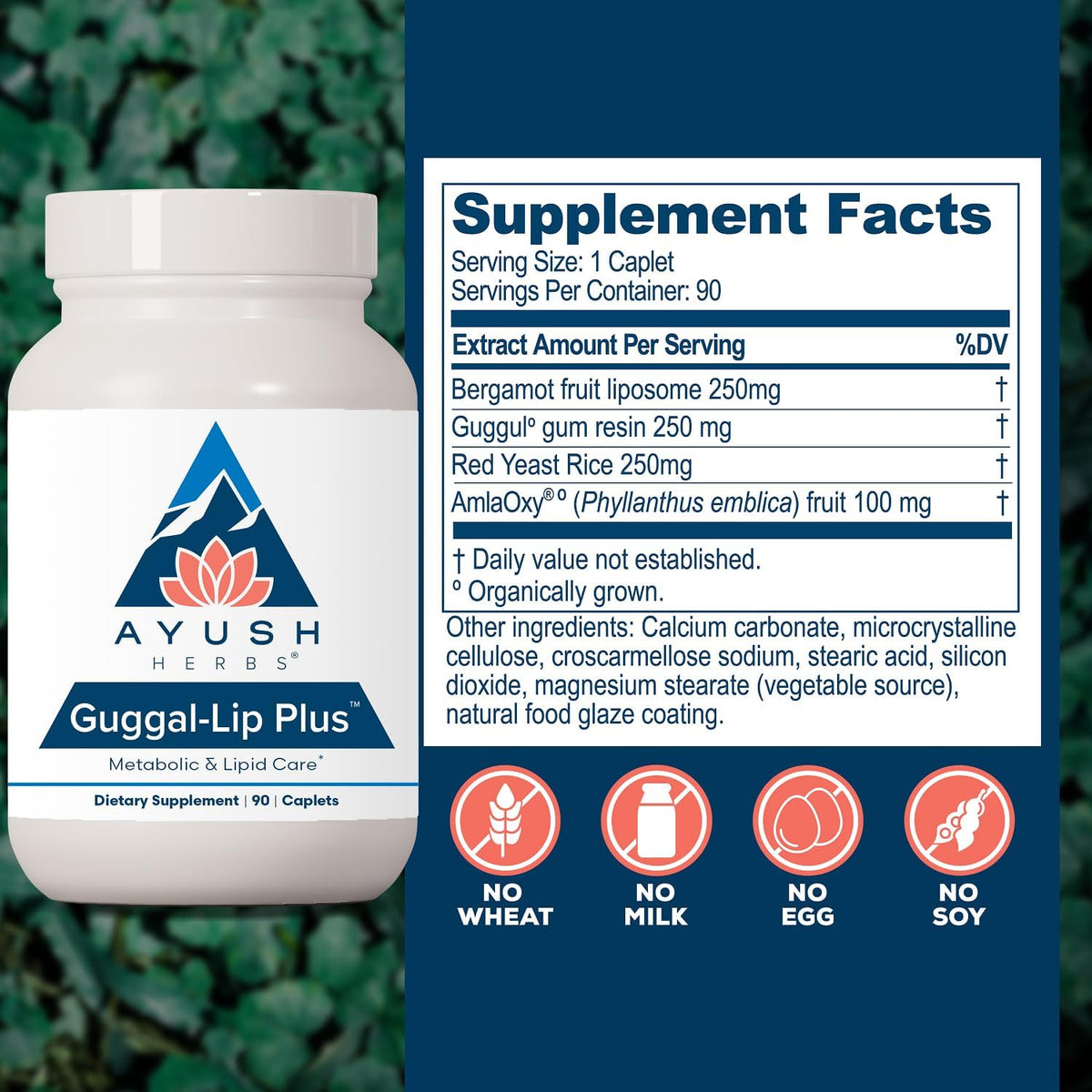 Ayush Herbs Guggal-Lip Plus - Metabolic Support Food Supplement with Guggul, Amla, and Bergamot - 90 Tablets - görsel 3