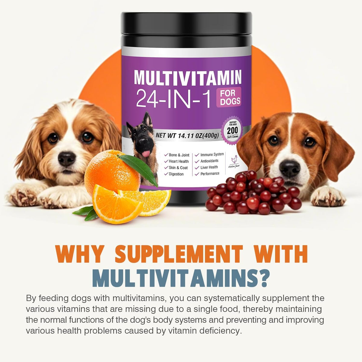24-in-1 Dog Vitamins and Supplements 200 Count Multivitamin Chewables with Chondroitin, Probiotics, Omega-3, Glucosamine for Skin, Coat, Heart, Joint, Gut, Liver, Brain, Eyes, Immune Support – Chicken Flavour - görsel 4