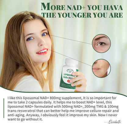 NAD+ Supplement Liposomal NAD+ Plus 800MG Nicotinamide Riboside Alternative for Cell Energy, Healthy Ageing and Muscle Repair 60 Capsules