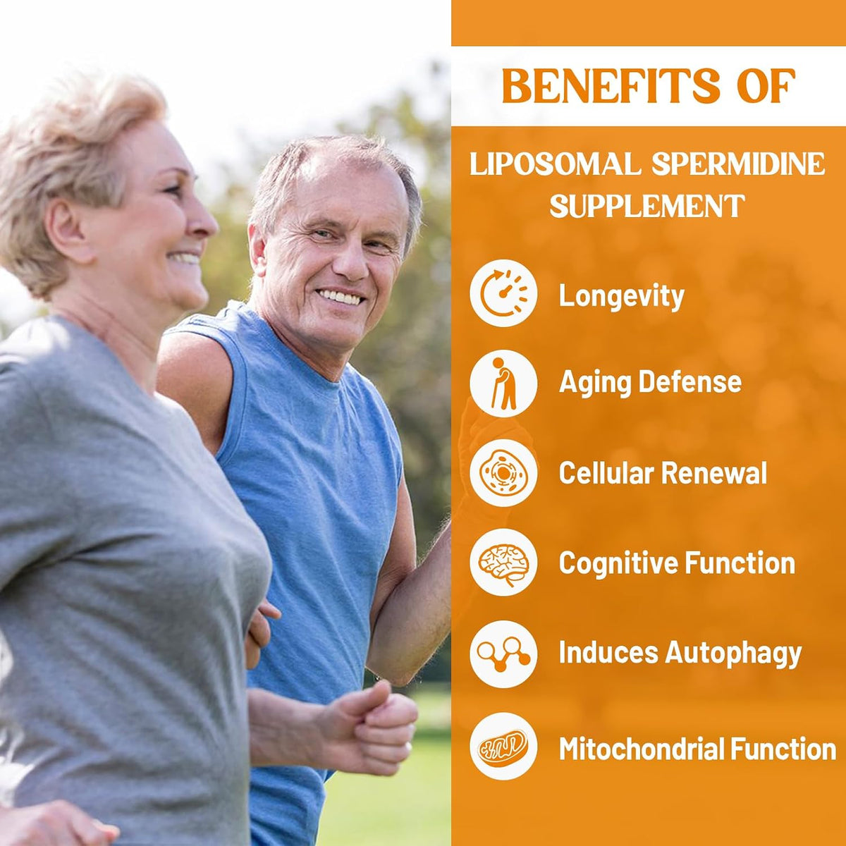 30mg Spermidine Supplement for Cellular Renewal & Longevity - Liposomal, High Absorption, 120 Softgels - görsel 7