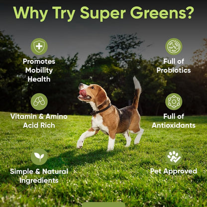 iHeartDogs Super Greens for Dogs with Broccoli Sprouts & Spirulina Powder – Seasonal Allergy & Immune Support Powder – Vitamins, Antioxidants & Minerals Supplement for Dogs