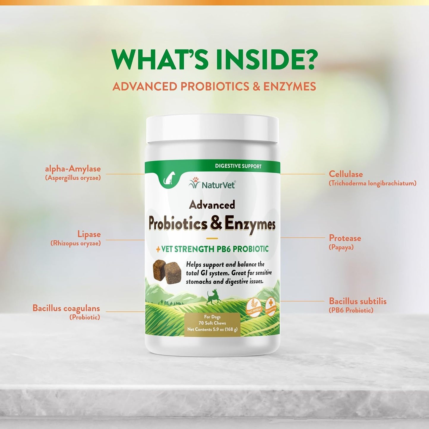 NaturVet Advanced Probiotics & Enzymes PB6 Dog Soft Chews - Hickory Smoked Bacon Flavour, 70 Chews - görsel 5