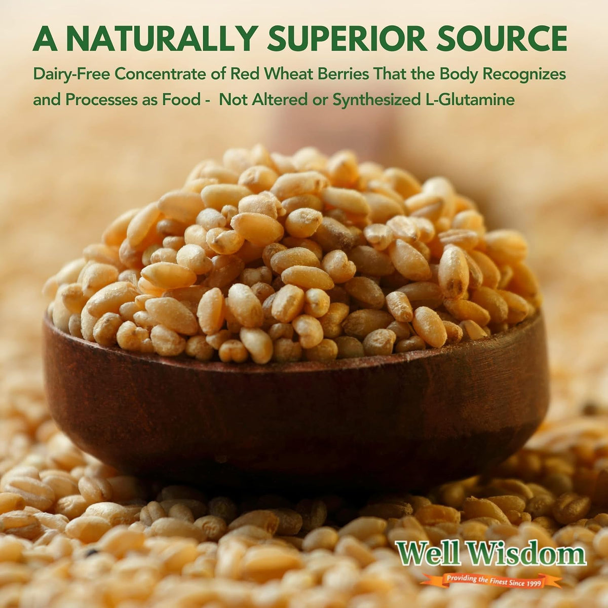 Well Wisdom Glut Immune - Covalent Bonded Glutamine Powder, Dairy-Free, 300g (60 Servings) - görsel 3