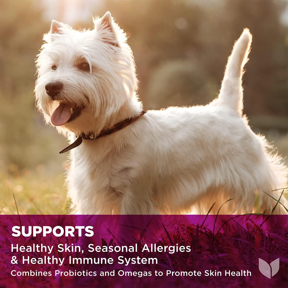 Hyland's Naturals - Pro Skin Health for Dogs, 90 Soft Chews, Supports Healthy Skin, Seasonal Allergies & Immune System, with Probiotics & Omega-3s, Trout Flavour - görsel 3