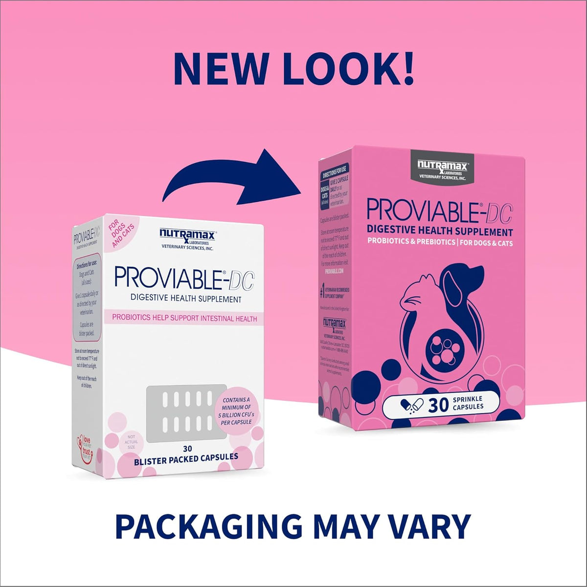 Nutramax Proviable Probiotics for Dogs and Cats – Daily Digestive Health Supplement, 30 Capsules - görsel 2
