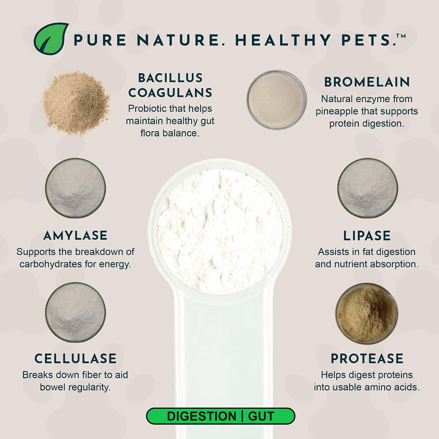 Animal Essentials Plant Enzyme & Probiotics - Probiotic & Digestive Enzyme Powder for Dogs & Cats, 300 g - görsel 3