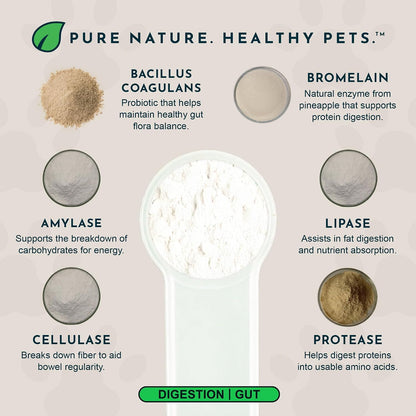 Animal Essentials Plant Enzyme & Probiotics - Probiotic & Digestive Enzyme Powder for Dogs & Cats, 300 g