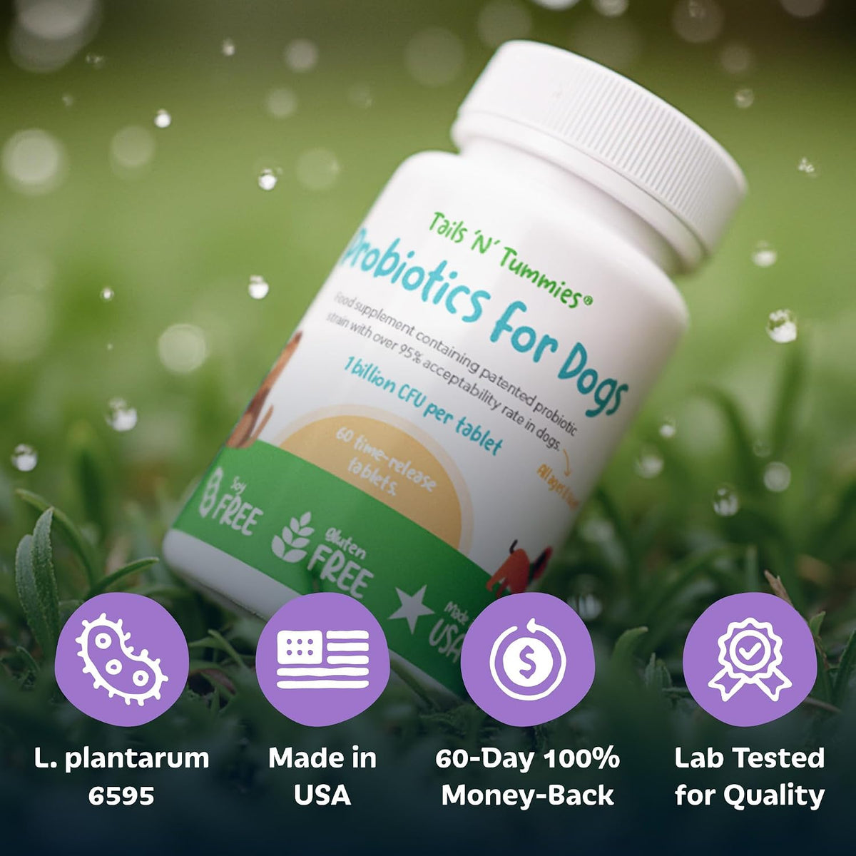 Tails 'N' Tummies Probiotics for Dogs: 60 Tiny Tablets for Allergies, Itchy Skin, Diarrhoea & Digestive Relief - görsel 6