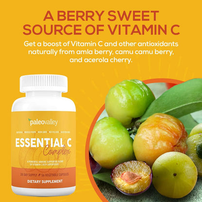 Paleovalley Essential C Complex - Organic Vitamin C Supplement for Immune Support, 450mg - Whole Food Acerola Cherry, Camu Camu, Amla Berry - No Synthetic Ascorbic Acid - USA-made