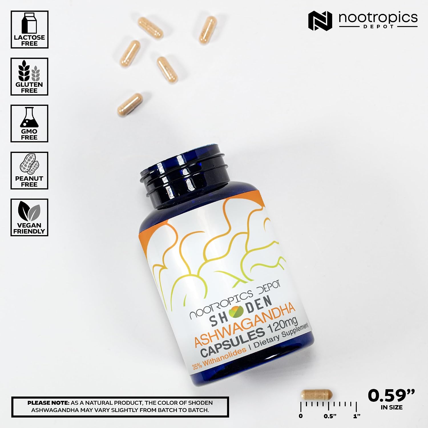 Nootropics Depot Shoden Ashwagandha Extract Capsules | 120mg | 35% Withanolides | 30 Count - görsel 3