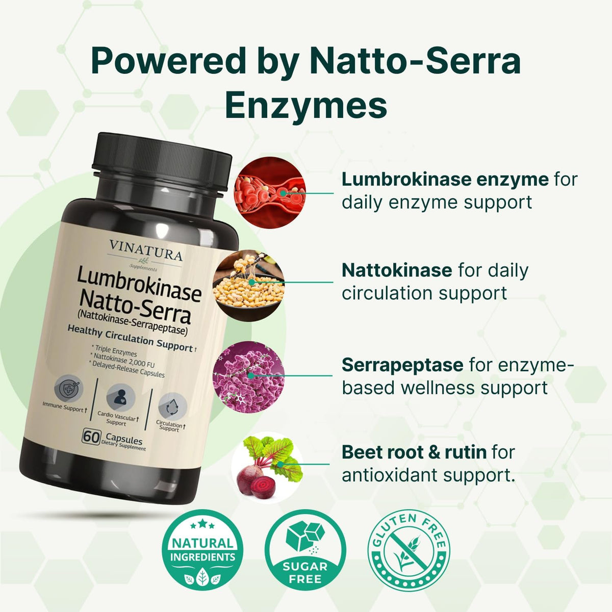 VINATURA Lumbrokinase Serrapeptase Nattokinase - Triple Enzyme Supplement for Blood Circulation Support - 60 Delayed-Release Capsules - görsel 4
