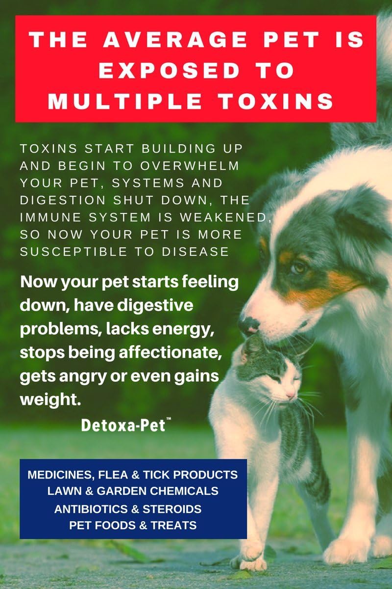DETOXA-PET Powder - Nutritional Supplement for Dogs & Cats with 10 Billion CFU Probiotics, Enzymes, Herbs, Vitamins, and Minerals - görsel 7