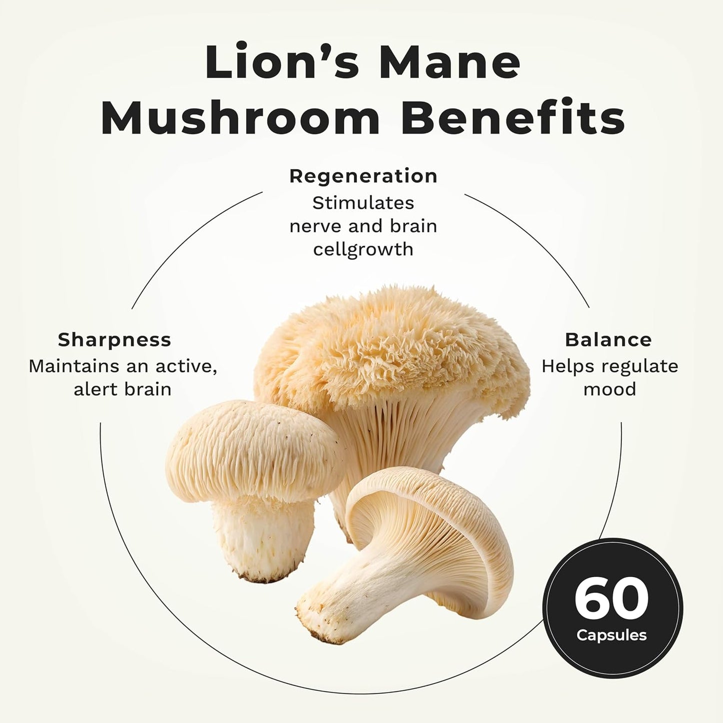 LifeSeasons Essentials Lion's Mane Mushroom - Brain Health & Mood Support - 1000mg - 60 Capsules - görsel 2