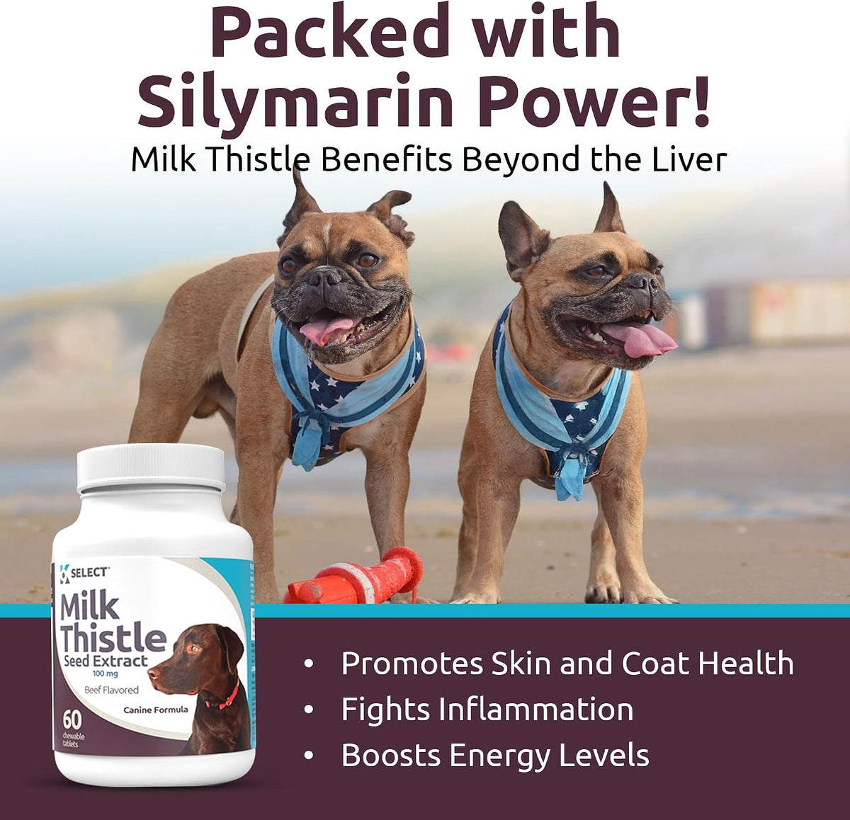 K9 Select Milk Thistle Dog Liver Supplement – 100mg, 60 Beef-Flavoured Tablets - görsel 6