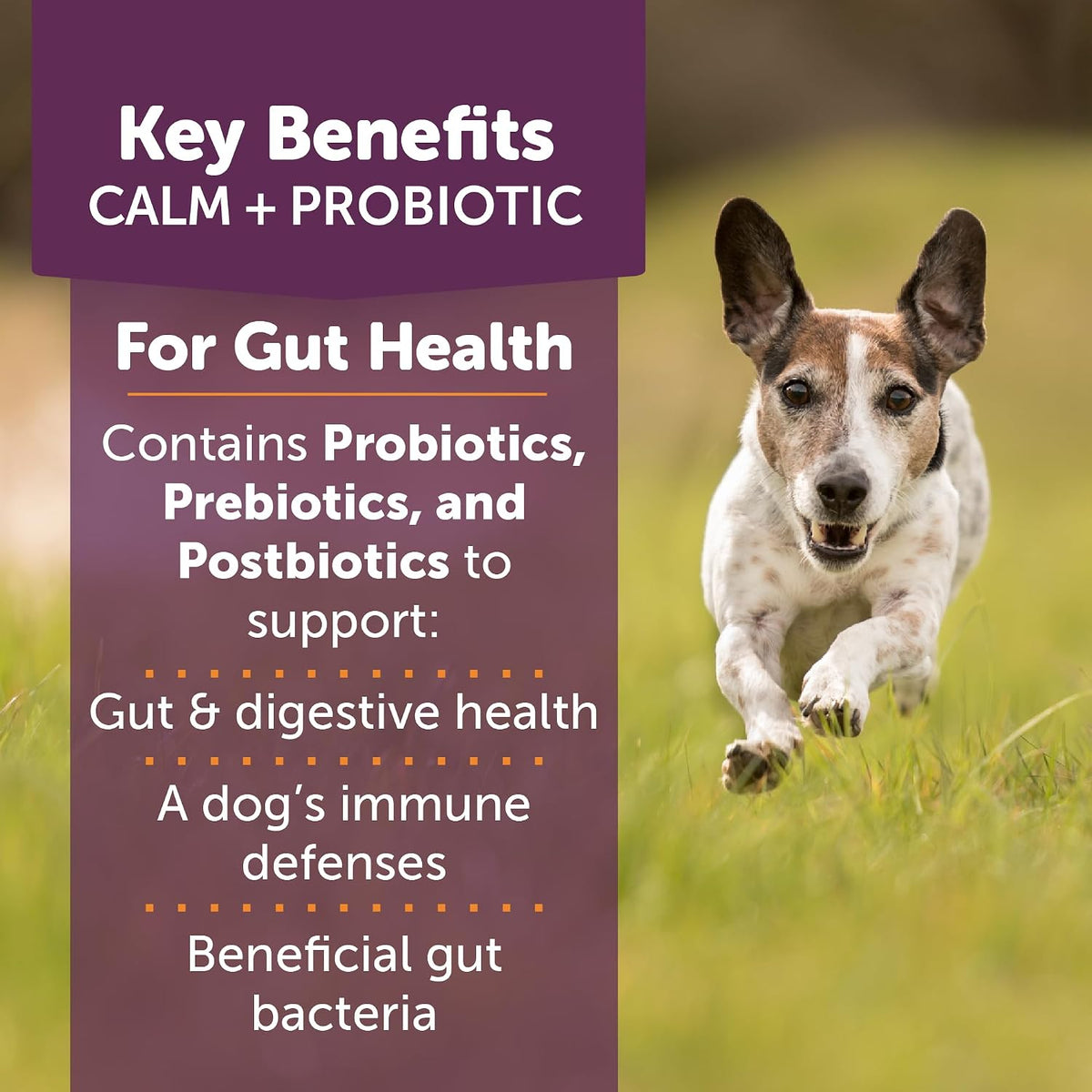 ThunderBites Calm + Probiotics for Dogs Daily Supplement Soft Chews, 90 Chews - görsel 2