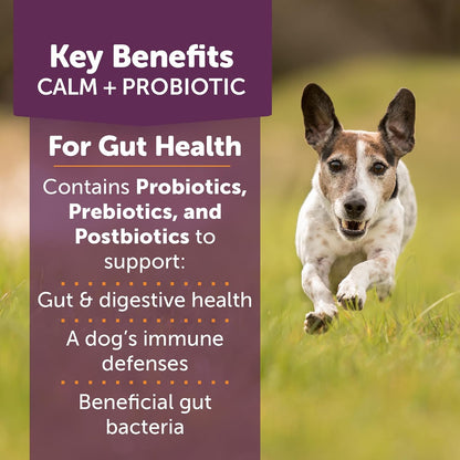 ThunderBites Calm + Probiotics for Dogs Daily Supplement Soft Chews, 90 Chews