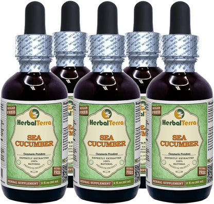 Sea Cucumber (Cucumaria Frondosa) Glycerite, Dried Sea Cucumber Alcohol-Free Liquid Extract 60ml