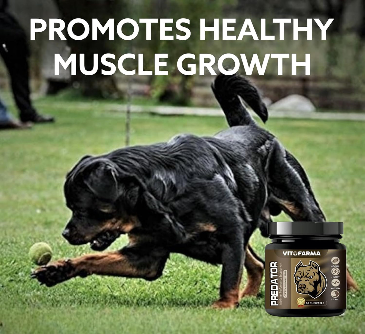 Predator Muscle Builder Chewable Tablets for Dogs – 60 Tablets - görsel 2
