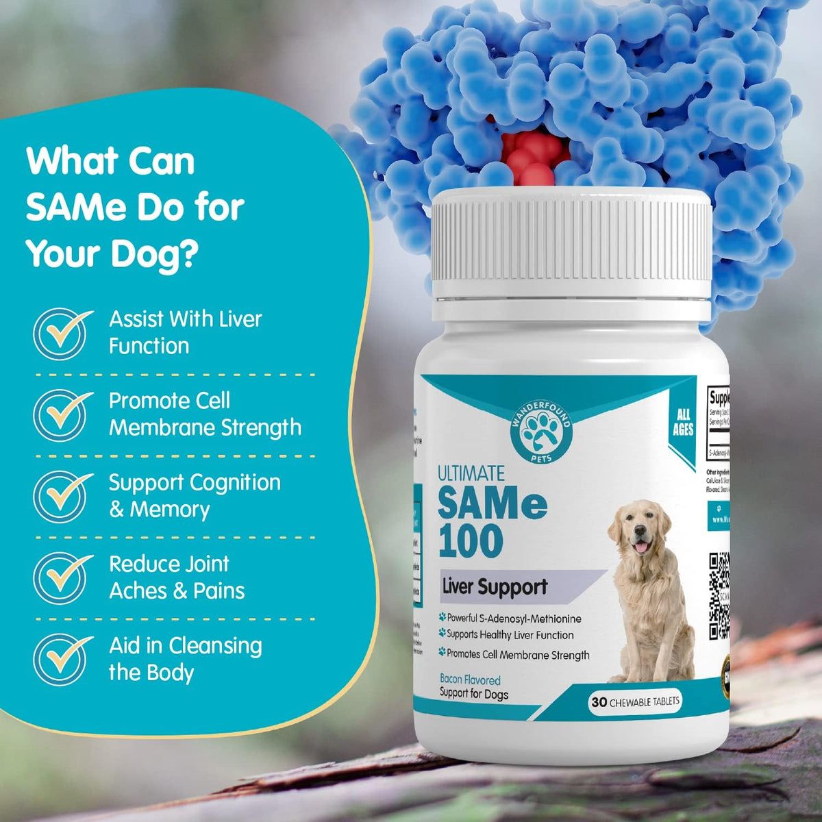 Pawsitive SAMe 100 Liver Support for Dogs - Bacon Flavoured Chewable Tablets (30 Count) - görsel 7