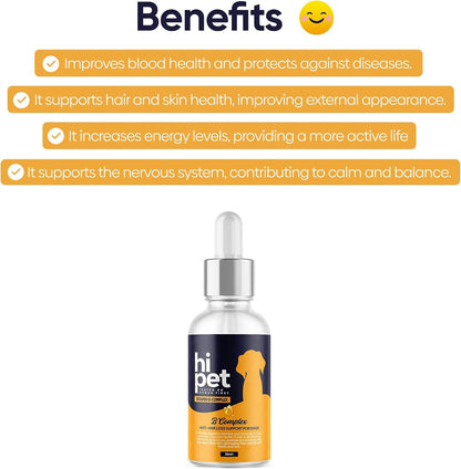 HiPet Vitamin B Complex for Dogs, Supports Metabolism and Increases Energy Levels, 50ml (Pack of 6)