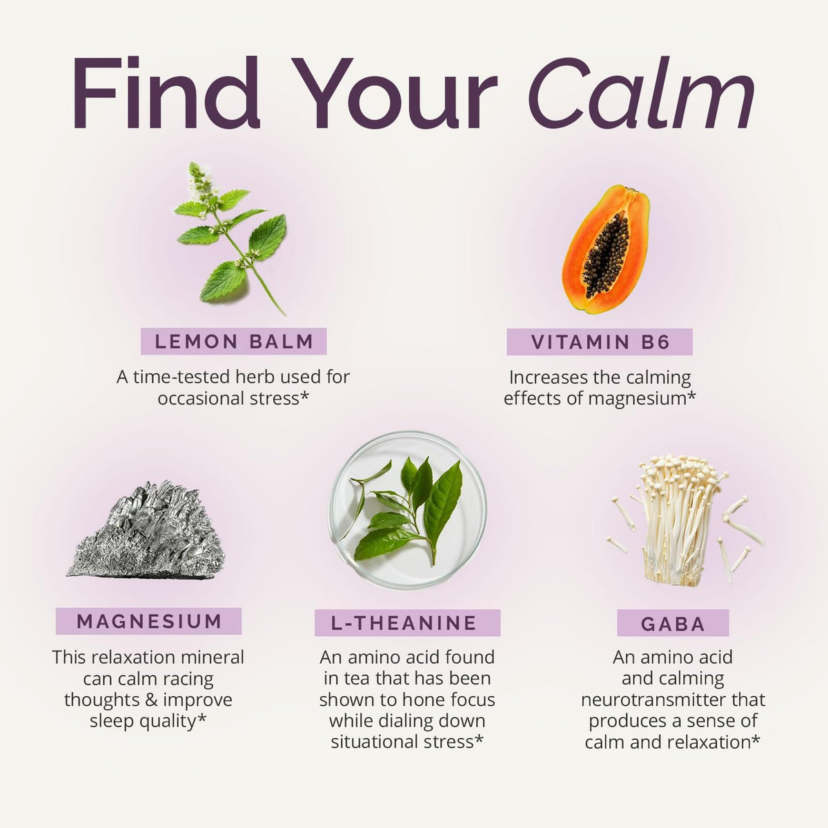 BRAINMD GABA Calming Support by Dr. Amen - 90 Capsules - görsel 3