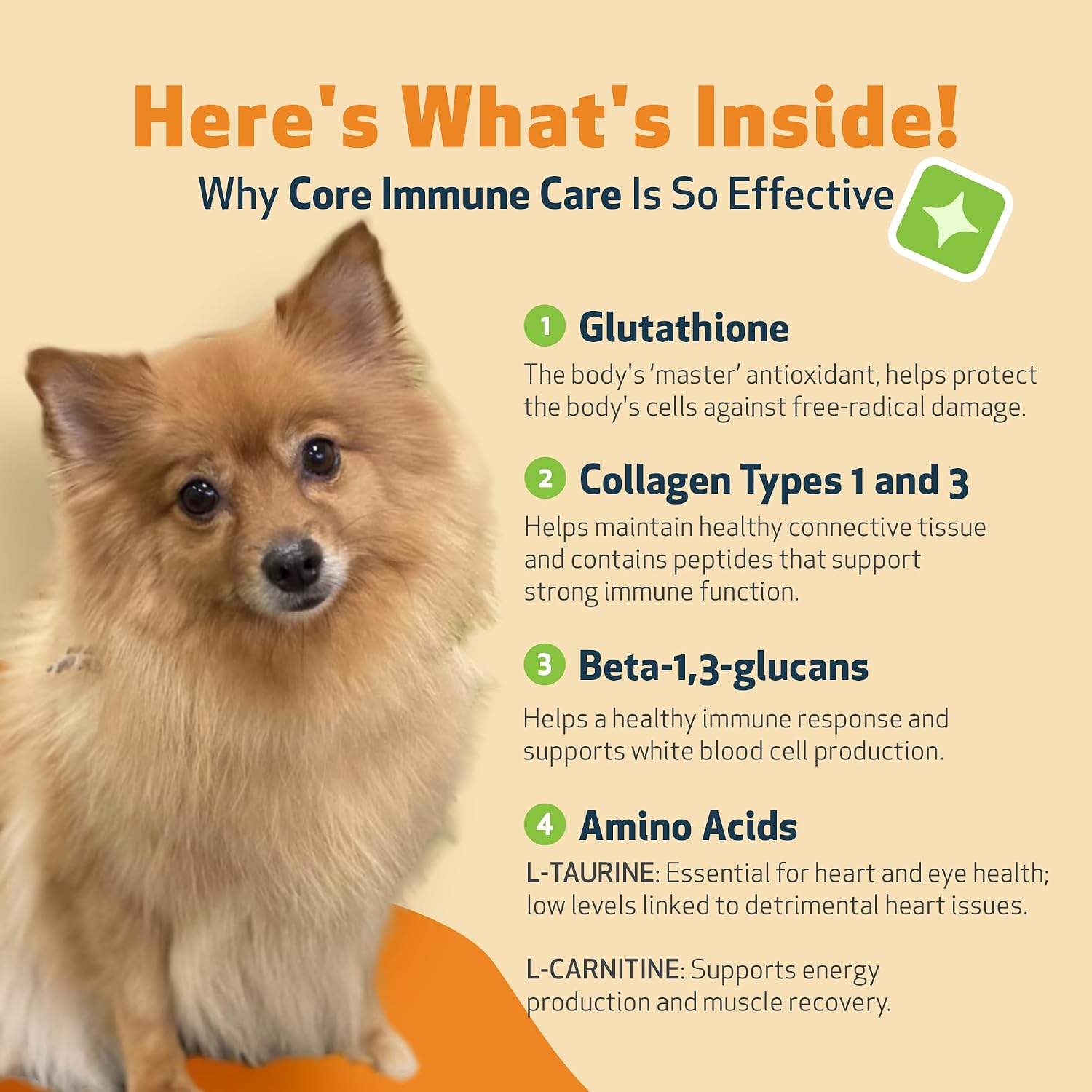Pet Wellbeing Core Immune Care for Dogs - Daily Antioxidant Support Powder (105g) - görsel 5