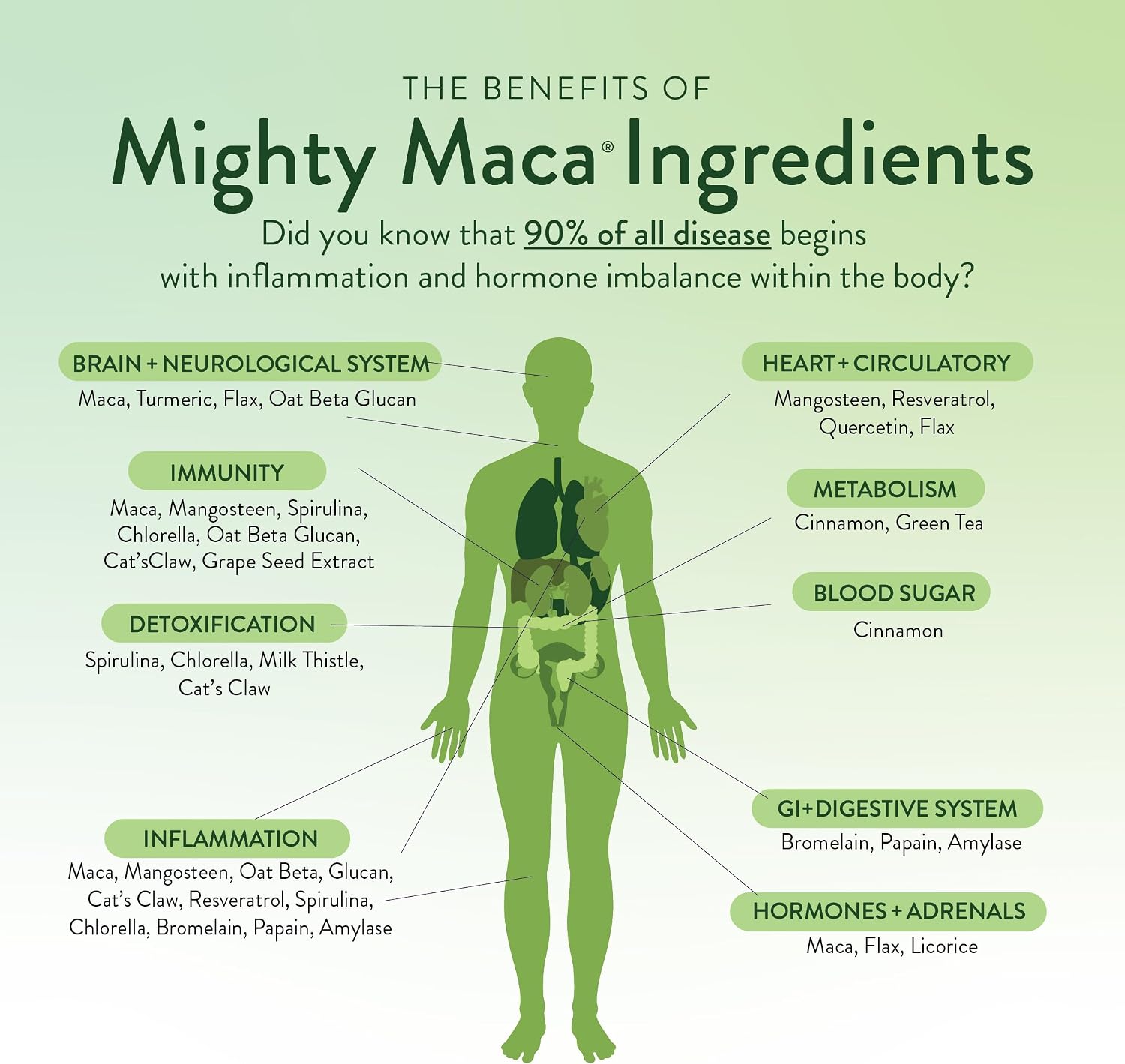 VIDAPURA Mighty Maca Plus Mango Superfood Greens Powder – Sugar-Free, Vegan, Alkaline, 30-Day Supply - görsel 6