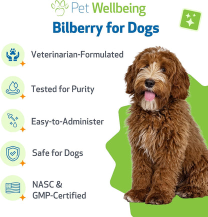 Pet Wellbeing Bilberry for Dogs - Eye & Vision Support - 60 ml Liquid