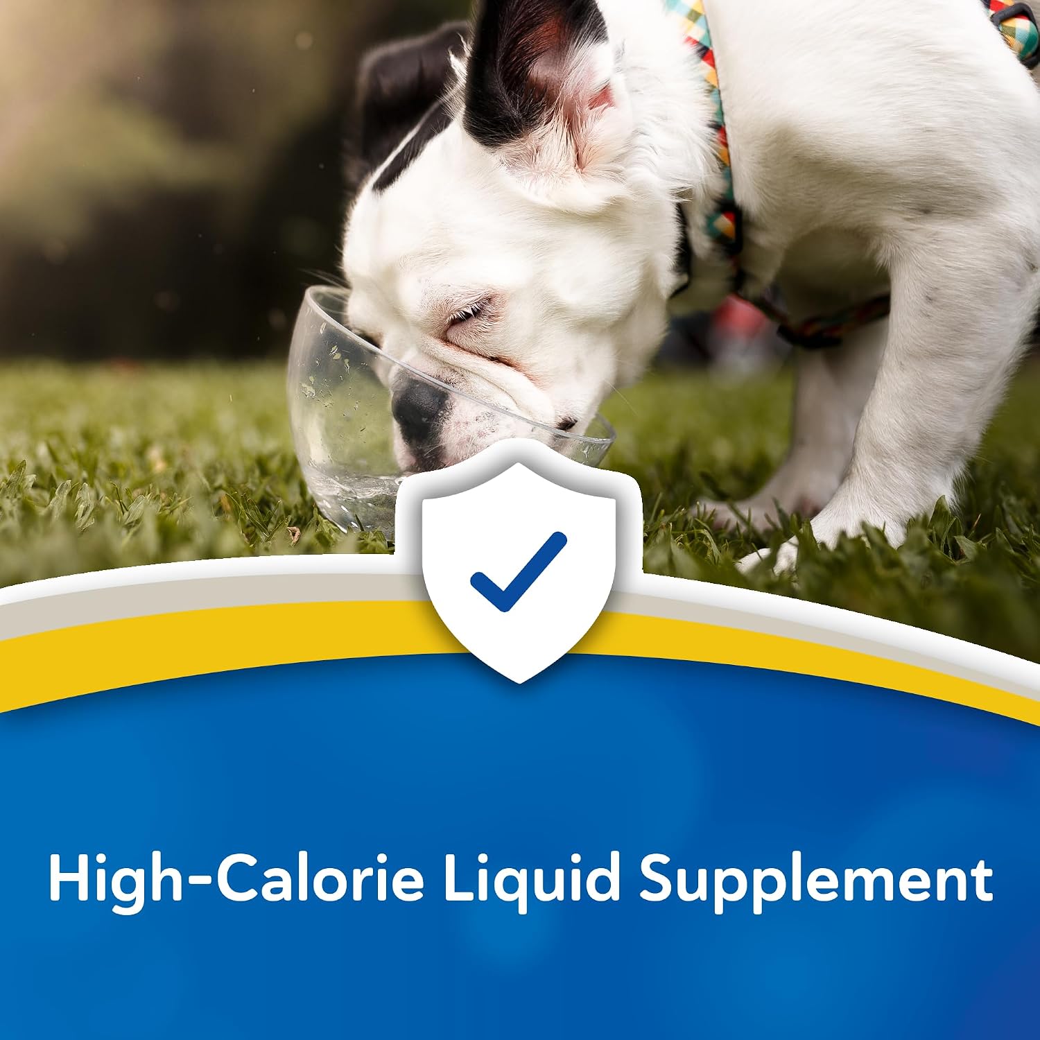Doc Roy's Forti Cal Liquid - High Calorie Energy Supplement for Dogs, Cats, Horses, Livestock - 1 Gallon (3.78 L) - görsel 4