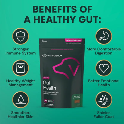 VetriScience Gut Health Chews, Probiotic Digestive Supplement for Dogs, Duck, 120 Chews