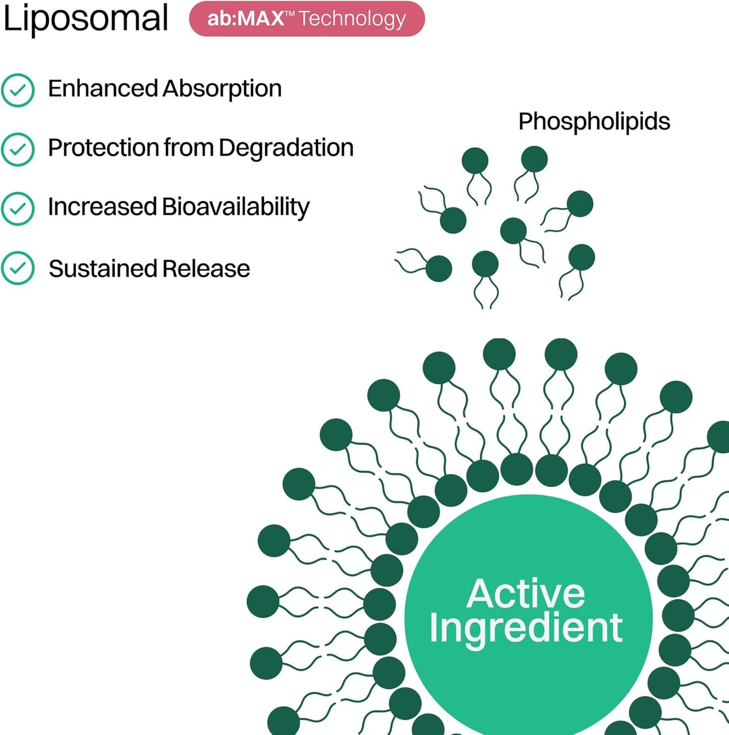 Haroutine Liposomal Biotin Gummies for Hair, Skin & Nails, 2500 mcg Biotin, 1200 mcg Vitamin A & 2 mg Vitamin E, Raspberry Rose Flavour, 30 Servings - görsel 5