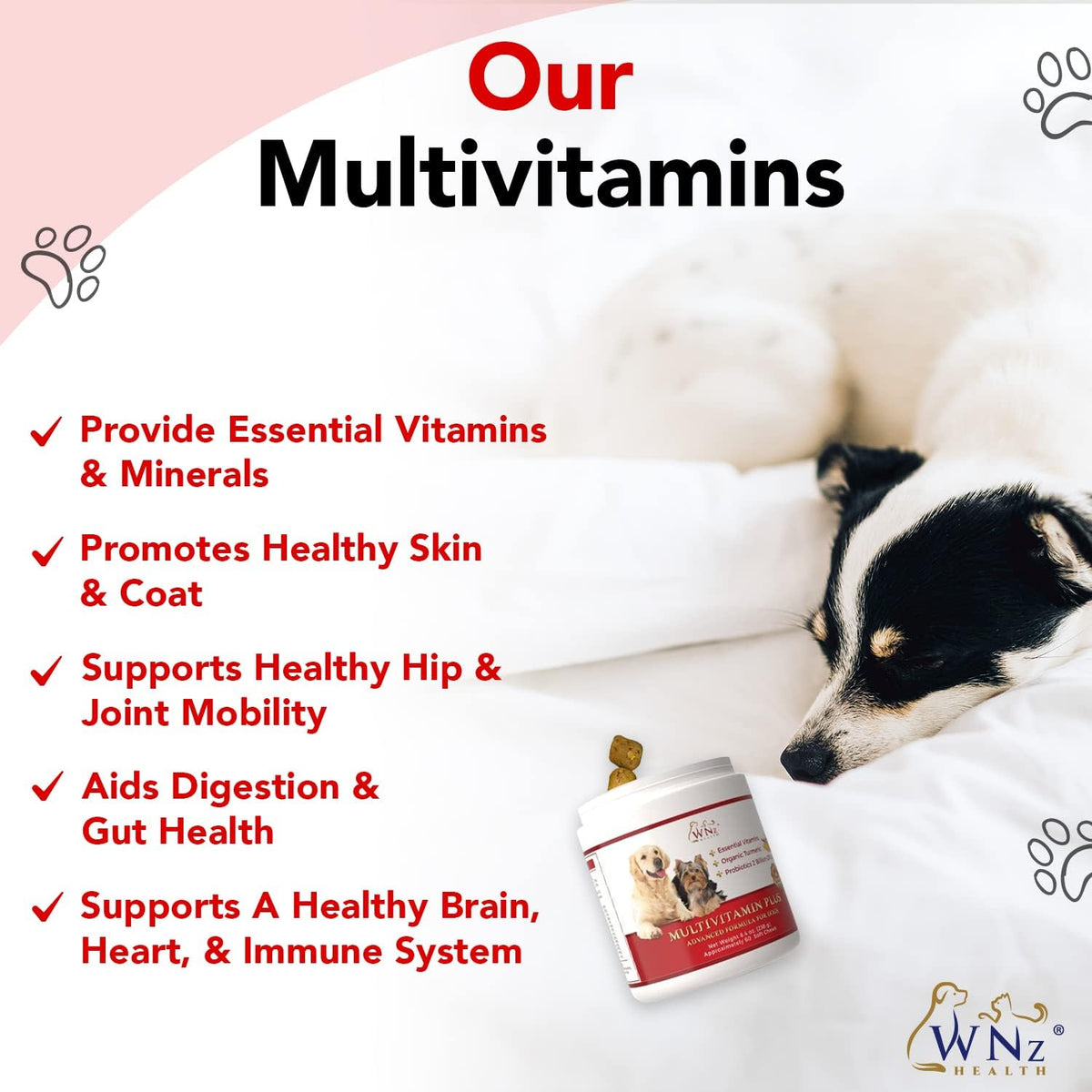 WNz Health Dog Probiotics & Multivitamins with Turmeric & Yucca, 60 Chews - görsel 4
