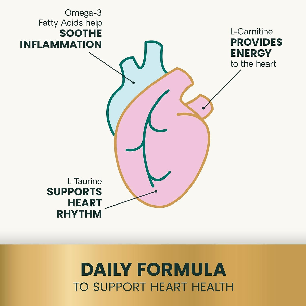 VetriScience Extra Strength Healthy Heart Chews for Dogs - görsel 5