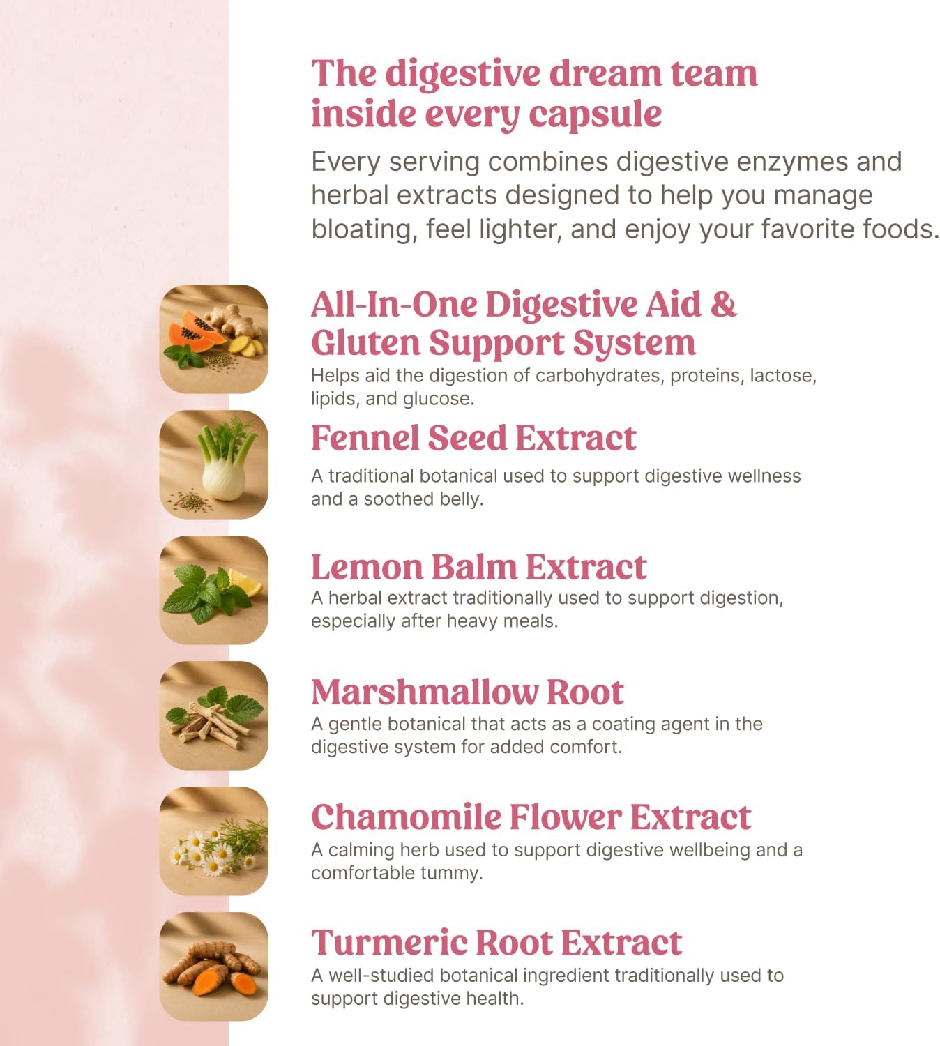 Happy Mammoth Bloat Banisher for Bloating, Digestion & Gut Comfort - görsel 6