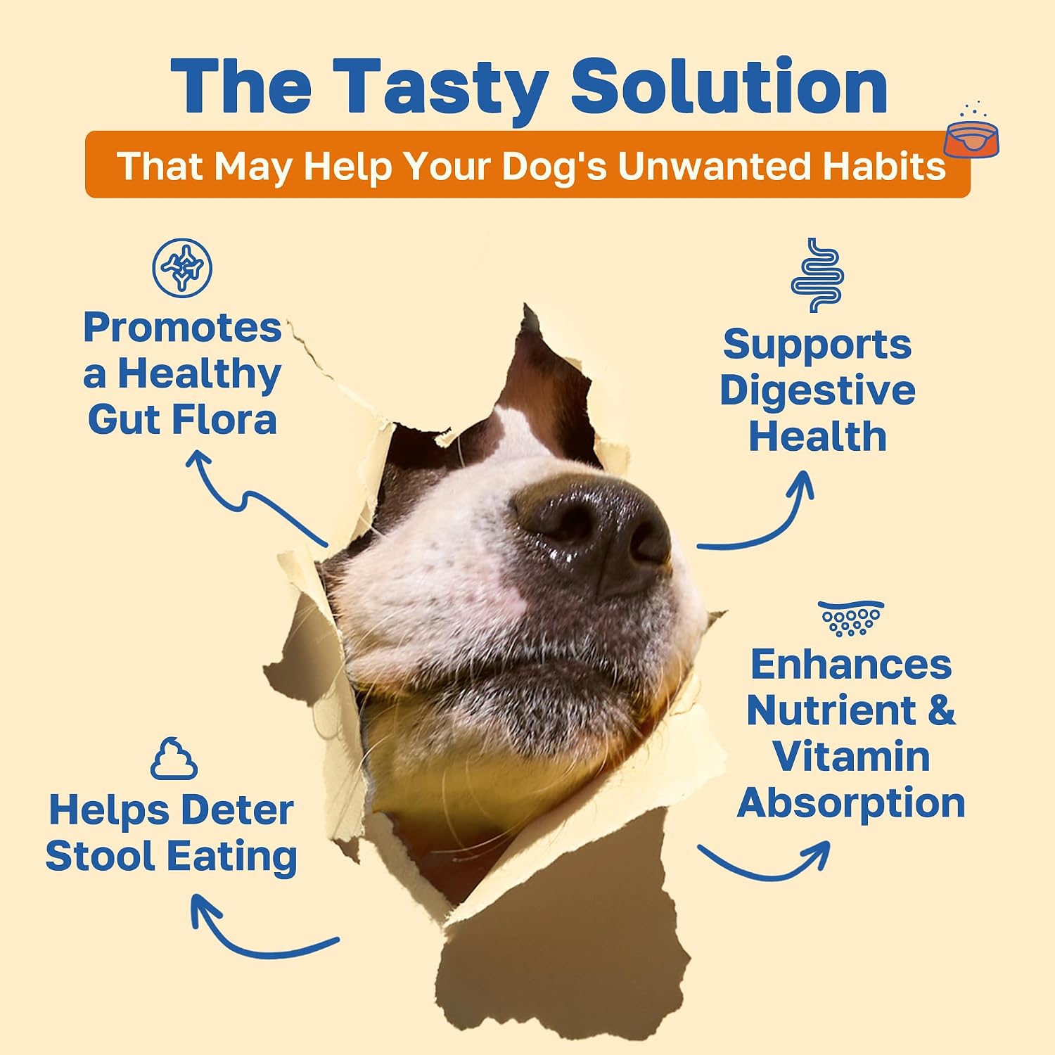 Happy Paws No Poo Chews for Dogs - Coprophagia Deterrent with Probiotics, Pumpkin & Enzymes - Beef Flavour, 200 Count - görsel 2