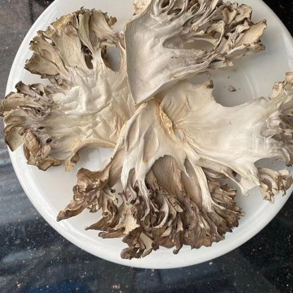 Maitake Mushroom Huishuhua (1000g)