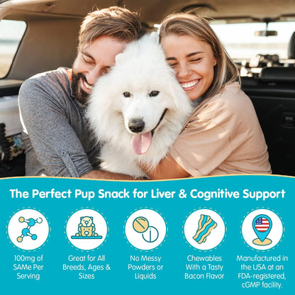 Pawsitive SAMe 100 Liver Support for Dogs - Bacon Flavoured Chewable Tablets (30 Count)