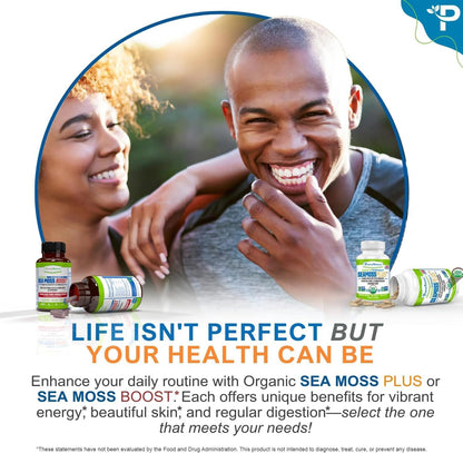 Power By Naturals Sea Moss Plus – Organic Irish Sea Moss, Bladderwrack & Burdock Root – 120 Capsules (2-Pack)
